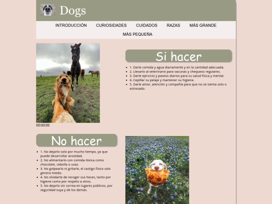 cuidados screenshot