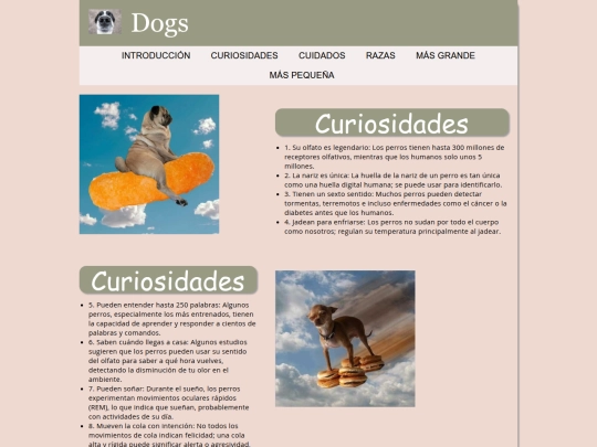 curiosidades screenshot
