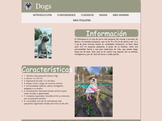 maspequena screenshot