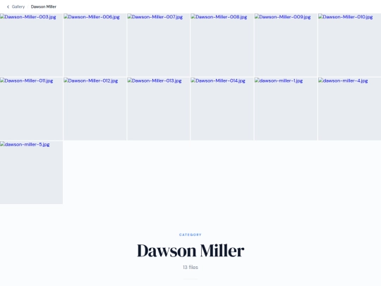 pages/others/categories/dawson_miller screenshot