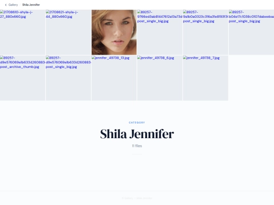 pages/others/categories/shila_jennifer screenshot