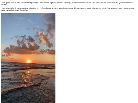 pruebaJTS screenshot