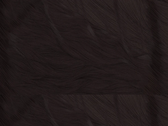 Voice/Cheated screenshot