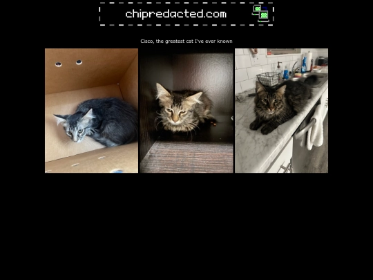 cats screenshot