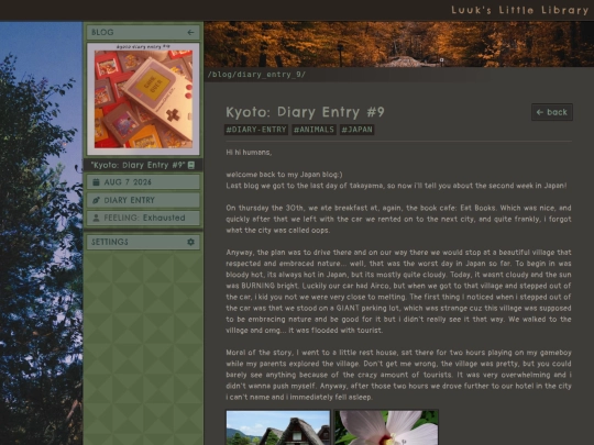 blog/diary_entry_9 screenshot