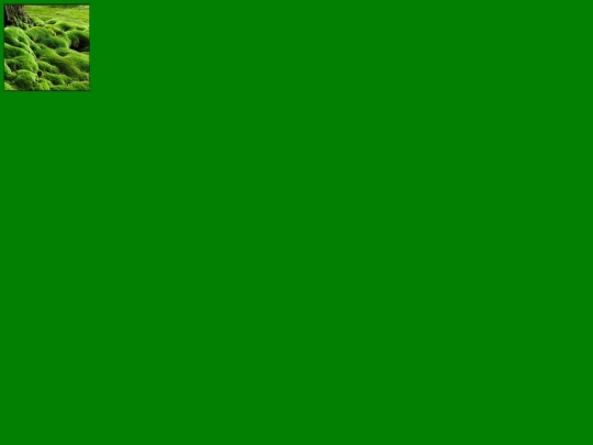 moss screenshot