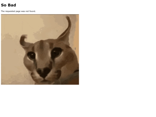 not_found screenshot