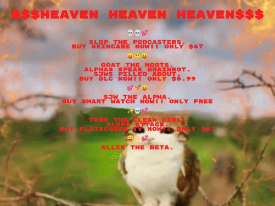 spaceangels screenshot