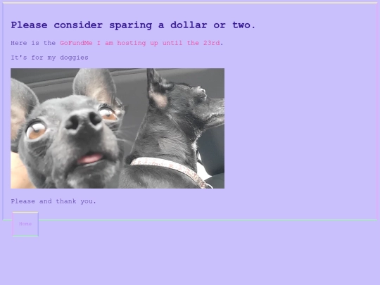 gofundme screenshot