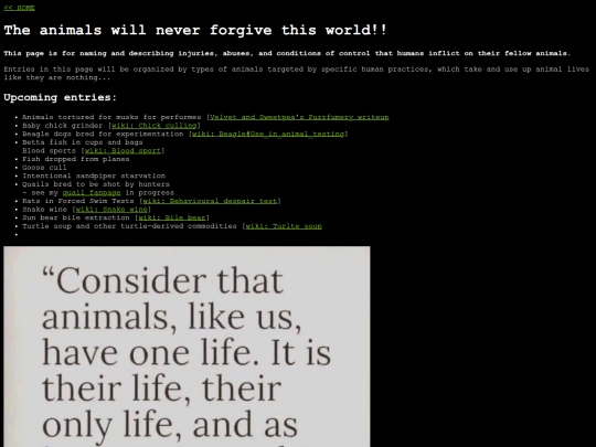 boohoo screenshot