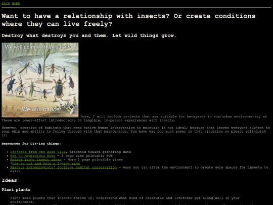 bugs/diy screenshot