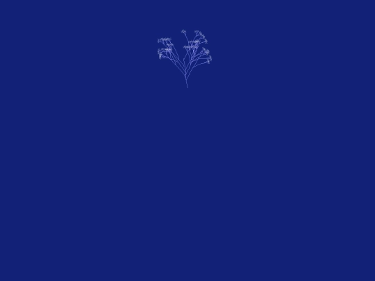 bloom screenshot