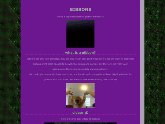 gibbons screenshot