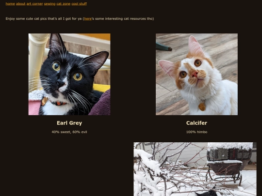 catzone screenshot