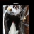 The web site of samdee avatar