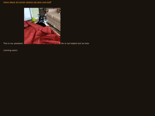 projects screenshot