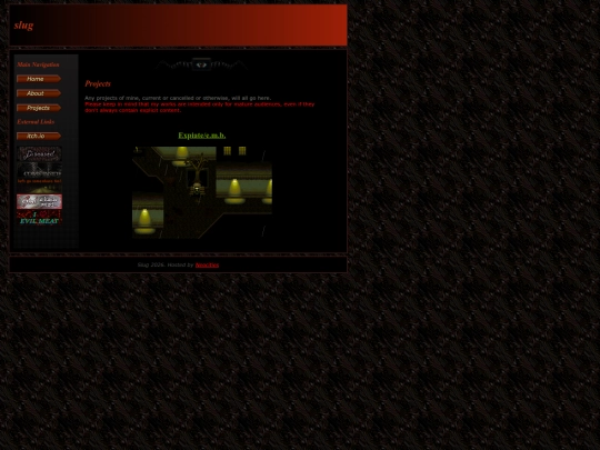 projects screenshot