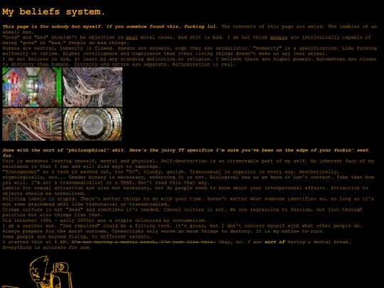 beliefssystem screenshot