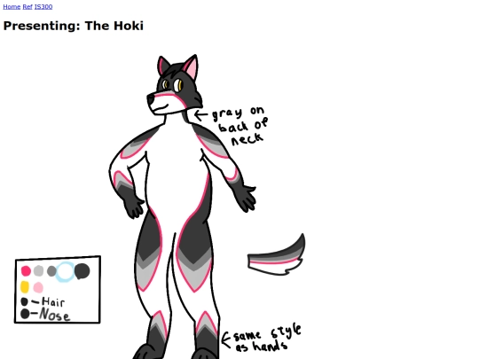hoki screenshot