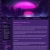 mistahshark.neocities.org avatar