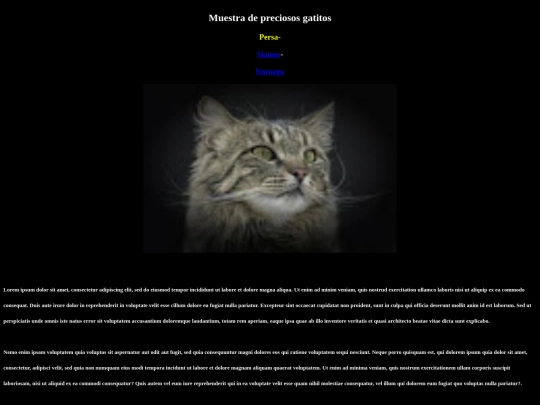 EXAMEN/Noruego screenshot
