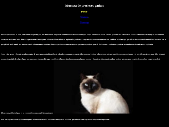 EXAMEN/Siames screenshot