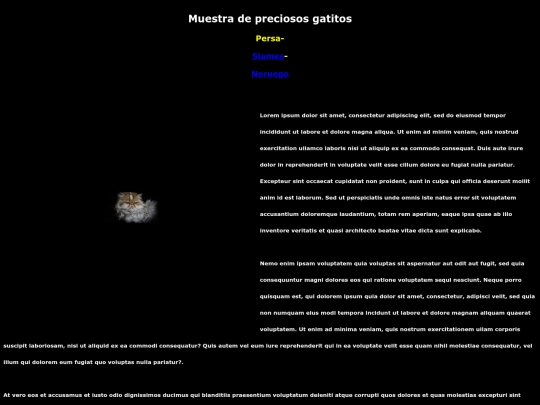 EXAMEN screenshot