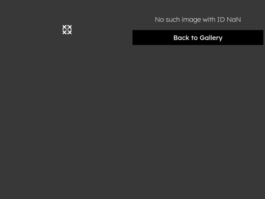 gallery/more screenshot