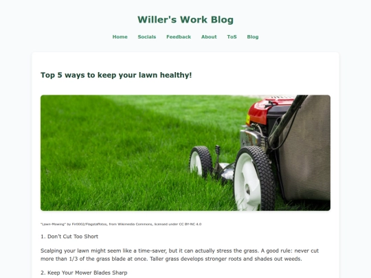 blog1 screenshot