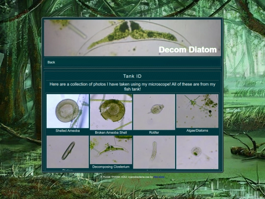 ids/tankid screenshot