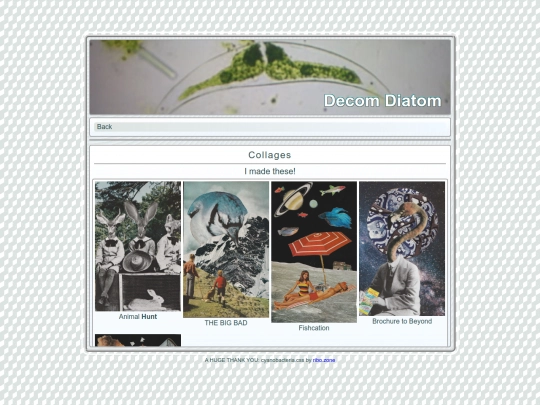 nest/diatomcollage screenshot