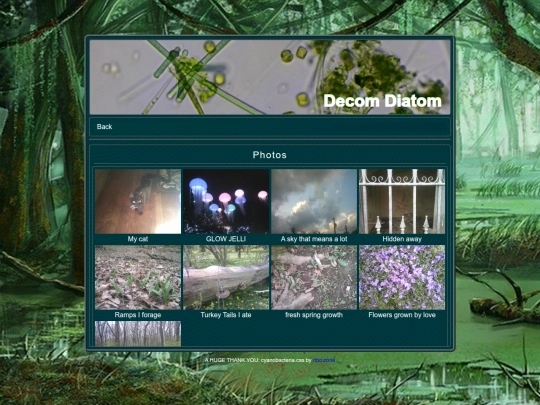 nest/diatomphoto screenshot
