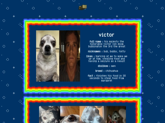 dogs screenshot