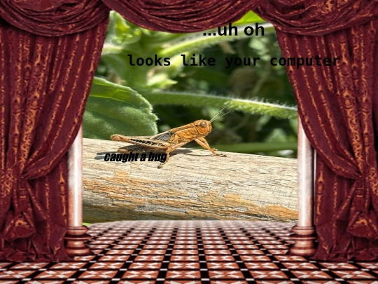 decoy screenshot