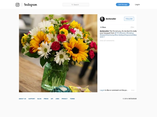 instagram/06Jan2017 screenshot