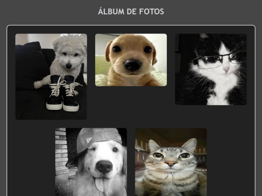 linktree/album screenshot