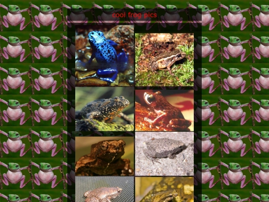 frog_gallery screenshot