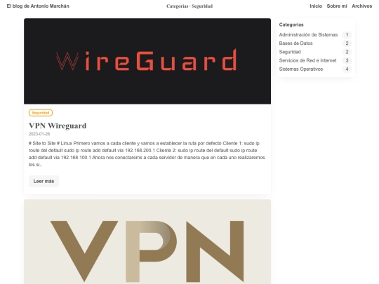 categories/Seguridad screenshot