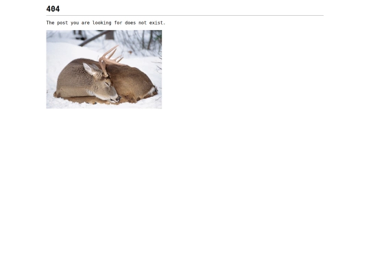 blog/entries screenshot