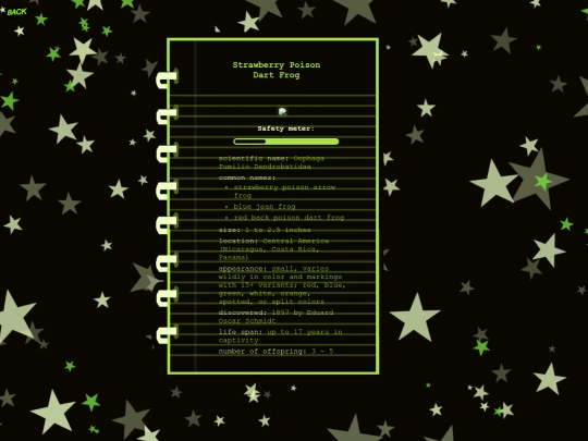 blog-posts/strawberry-dart screenshot