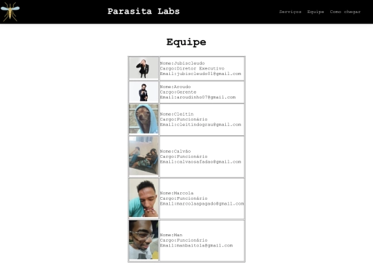 trabalho1trimestre/equipe screenshot