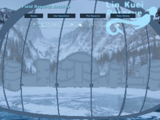 report screenshot