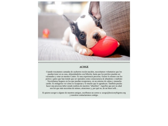 Práct12/acoger screenshot