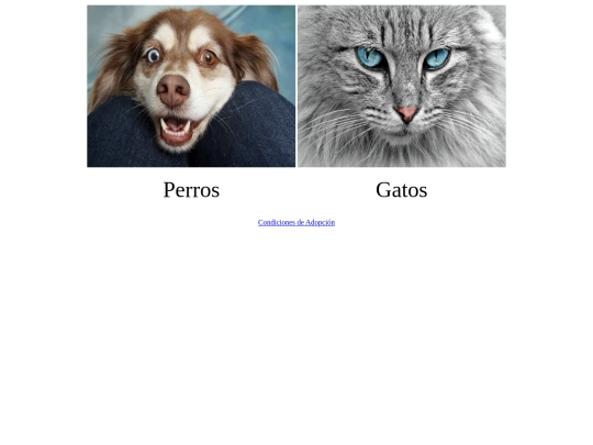 Práct12/adopcion screenshot