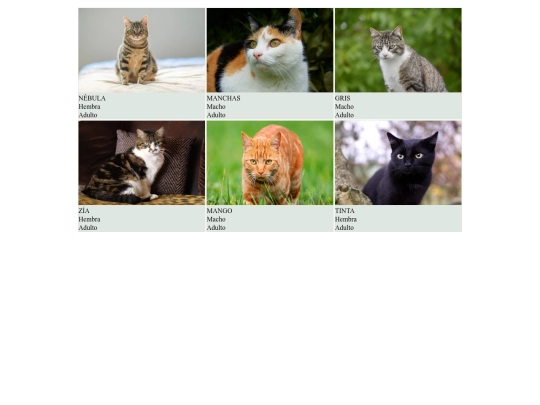 Práct12/gatos screenshot