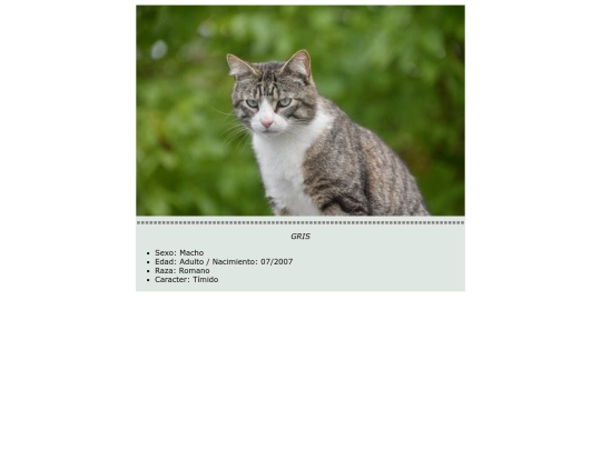 Práct12/gris screenshot