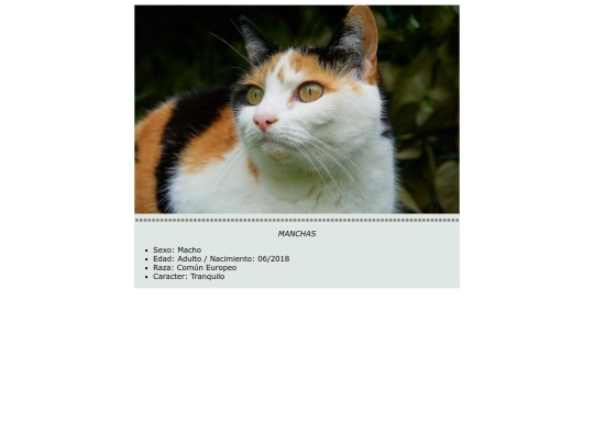 Práct12/manchas screenshot