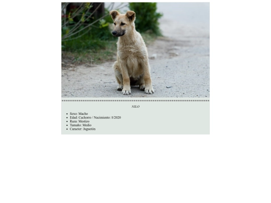 Práct12/nilo screenshot