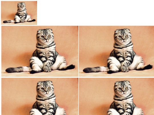 Pruebas/Imagen screenshot