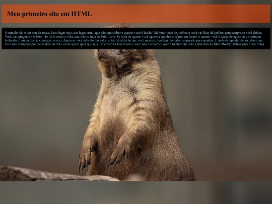 Trimestre2/Atividade12 screenshot